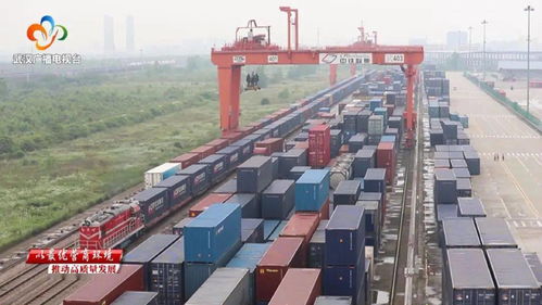 武漢市商務局 當好企業“娘家人”，精準服務助力日用百貨行業發展